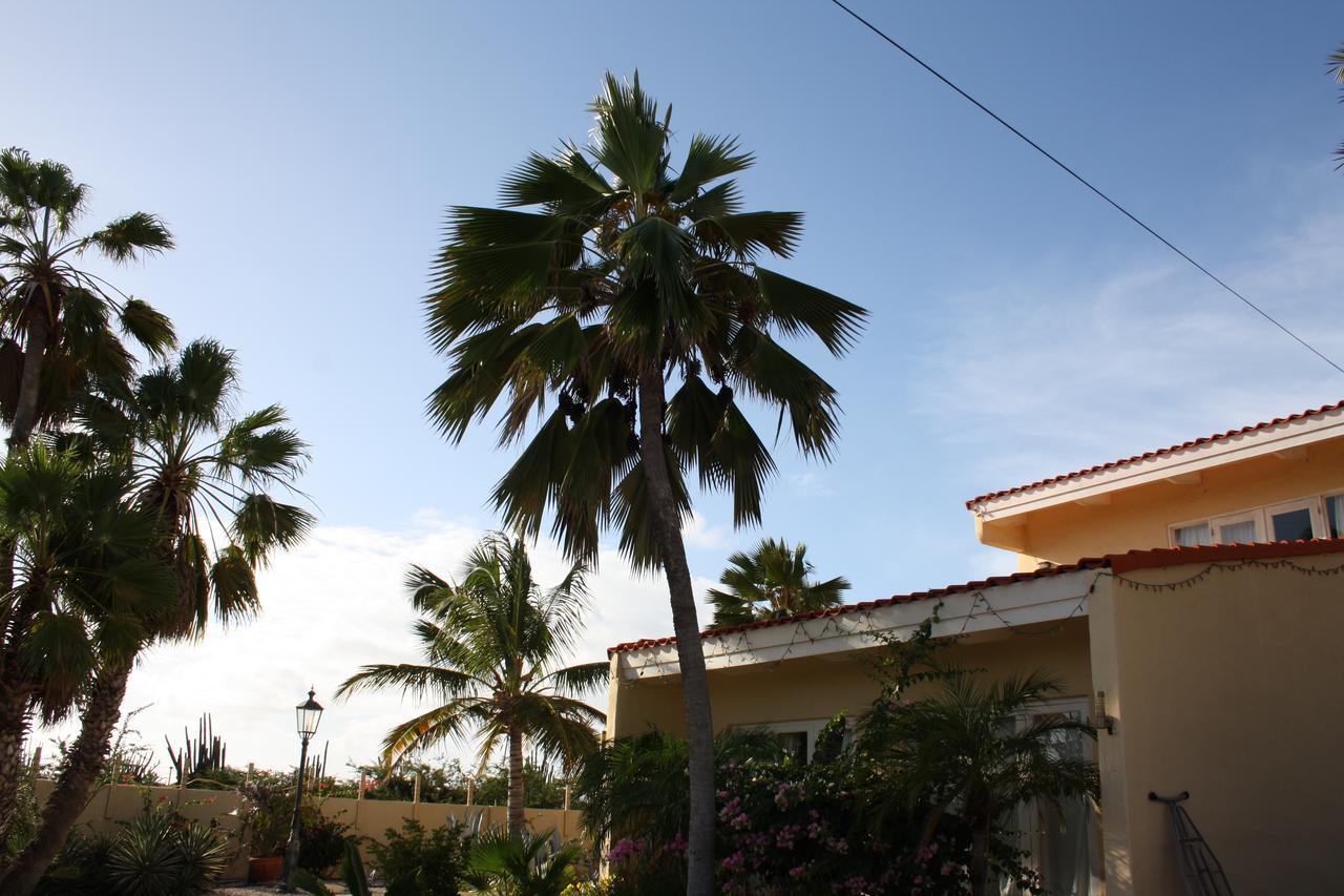 Hidden Garden Aruba Hotel Babijn Exterior foto